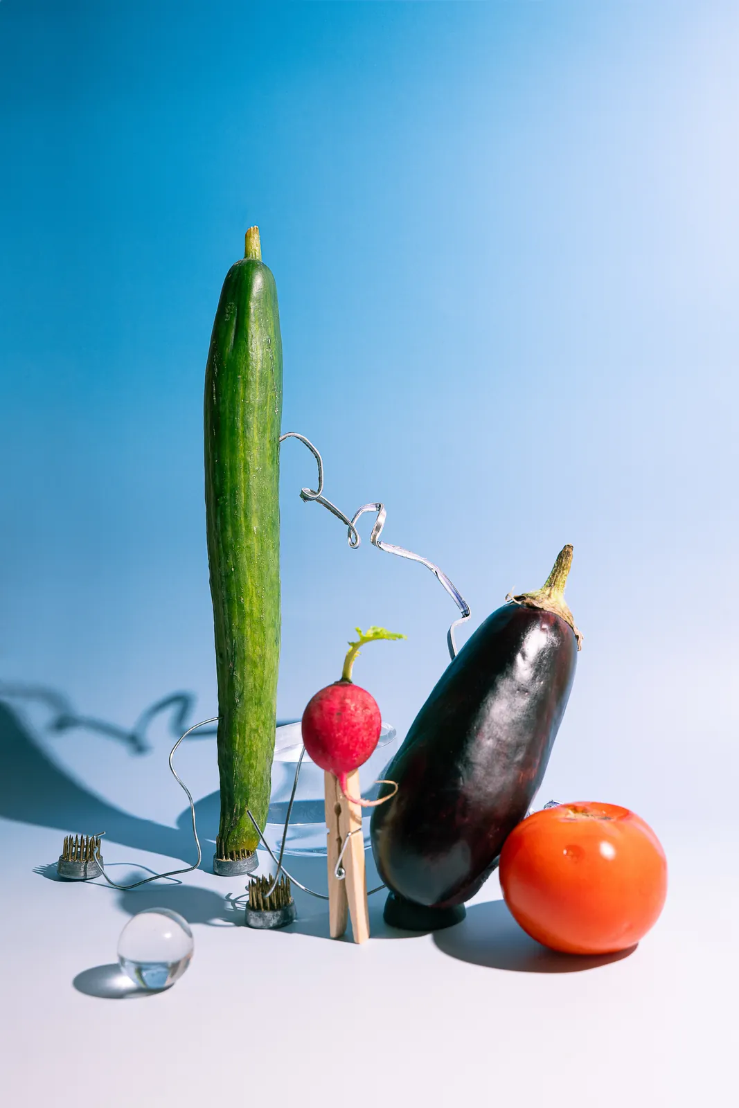 A cucumber, radish, aubergine, and tomato balanced on pale blue