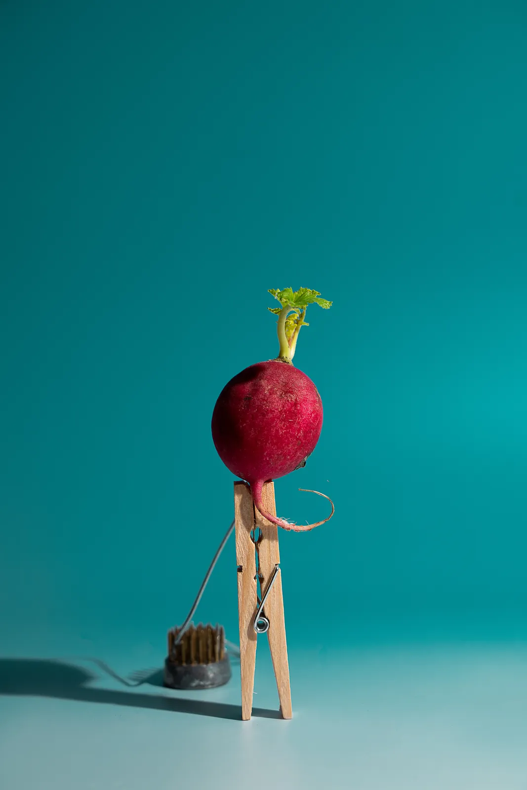A radish riding a wooden clothes-peg figure on teal