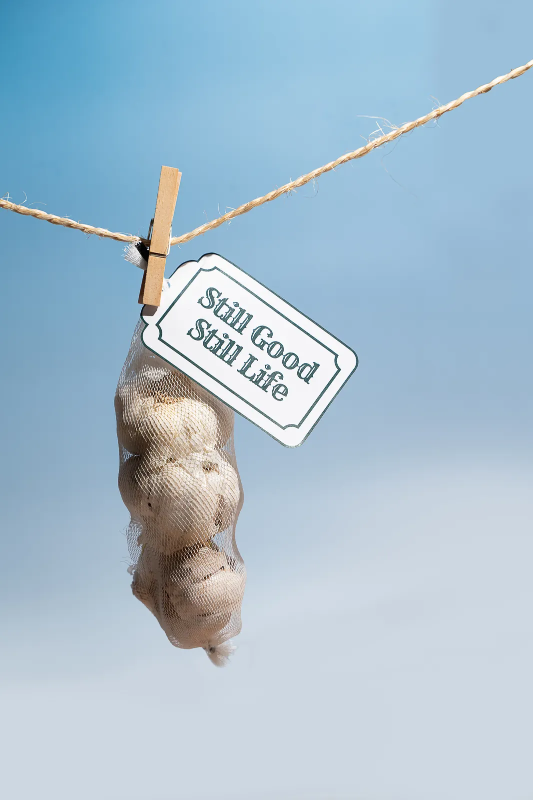 A garlic bulb hanging from a peg with a Still Good, Still Life tag
