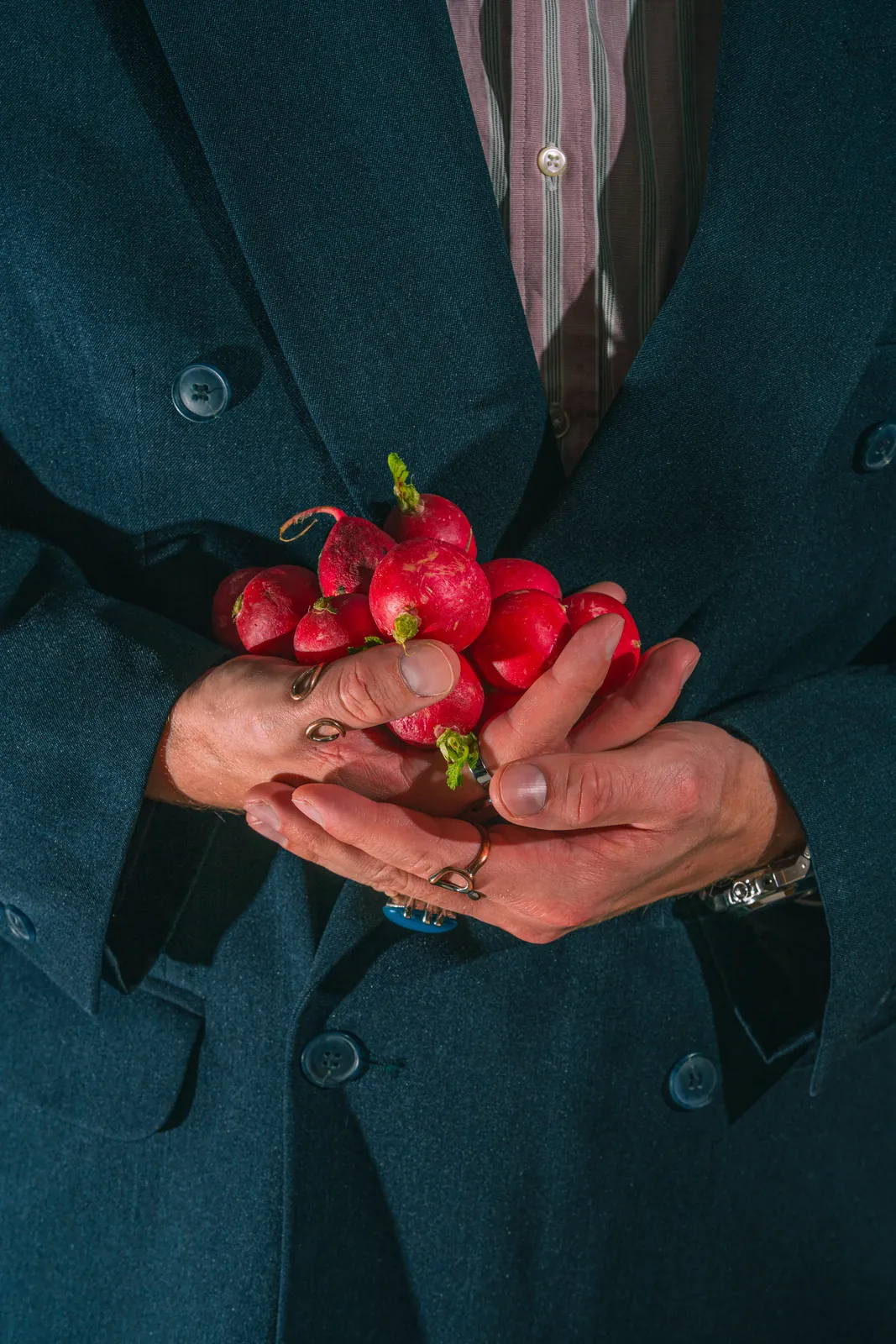 Hands cupping red radishes against a dark green jacket