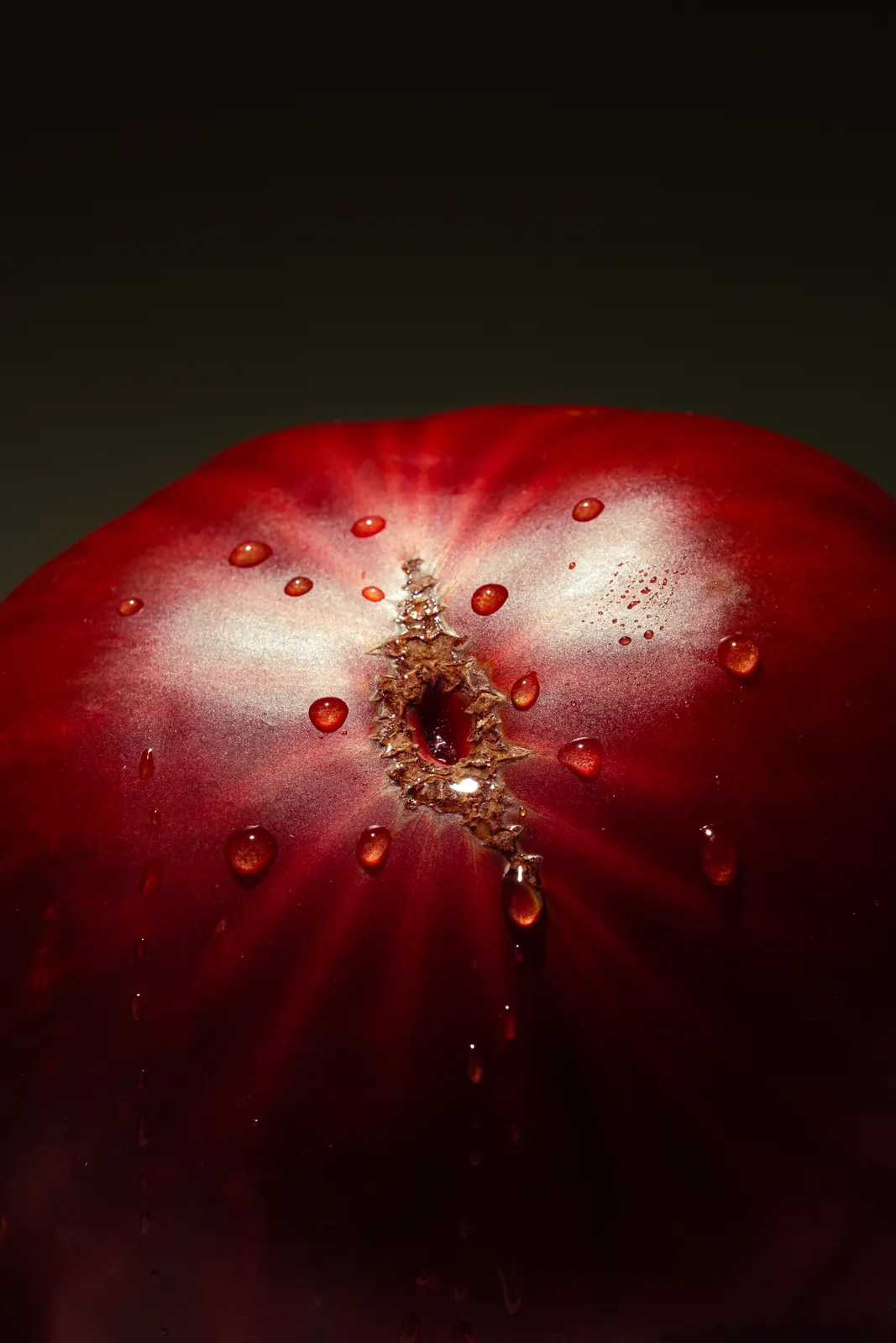 A close-up of a cut tomato glistening on black
