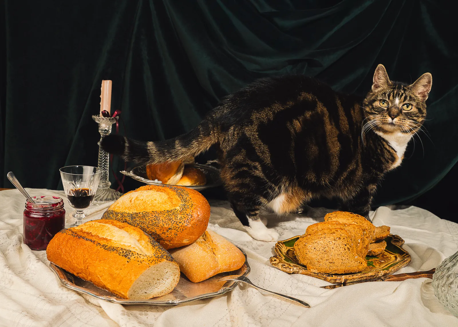 Bread rolls and a cat on a dark tablecloth